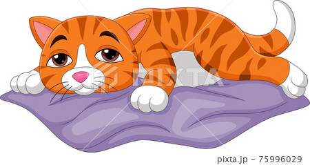 Tired Cartoon Cat Sleeping On The Pillowのイラスト素材