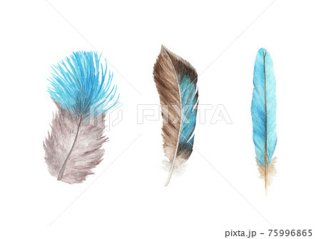 Vibrant feather set. Watercolor illustration. 75996865
