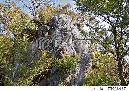 古処山登山「山頂の古処大神と記された巨岩」 75998437