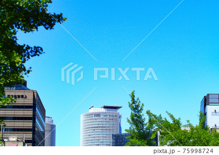 新緑の桜通銀杏並木と名古屋駅前ビル群の風景 75998724