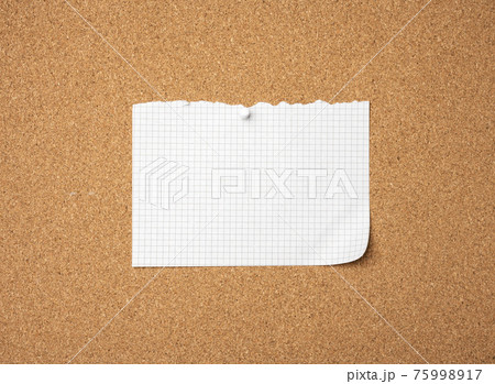 blank sheet of paper pinned by button on brown cork board blank sheet of paper pinned by button on brown cork board 75998917