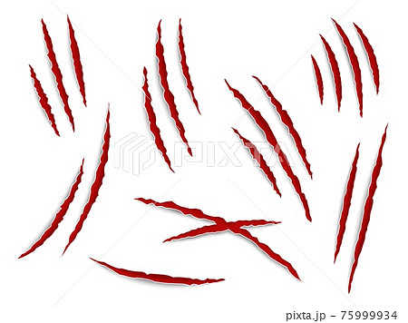Scratches claws. Claw tracks animal, cat or tiger, bear or lion attack nails scratches with blood. Thriller horror halloween monsters signs. Vector realistic isolated on white set 75999934