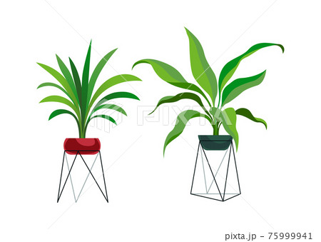 Houseplant modern stands. Tropical ficus or palm in pot, botanical decorative collection, flowerpot on metal rask, home trees set. Trendy cartoon flat style isolated illustration 75999941