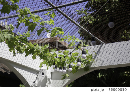 Outdoors garden plant pot decoration 76000050