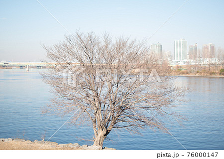 水門公園から対岸／東京都北区志茂 76000147