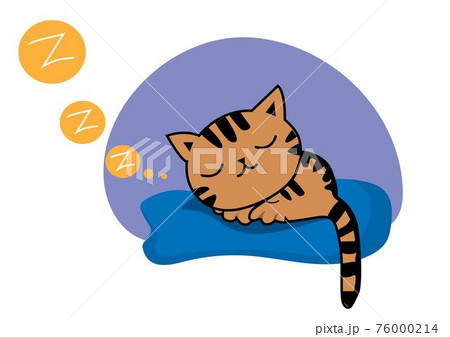 Black brown striped fat cat Sleep soundly on a blue mattress. Vector isolated design for social network online communication Black brown striped fat cat Sleep soundly on a blue mattress. Vector isolated design for social network online communication 76000214