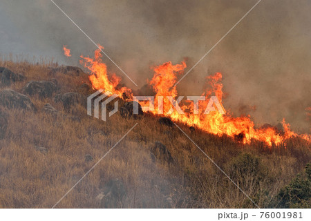 平尾台野焼き（午後の部） 76001981