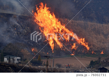 平尾台野焼き(午後の部) 平尾台野焼き(午後の部) 76002731