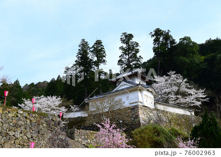 出石城【続日本100名城】 出石城【続日本100名城】 76002963