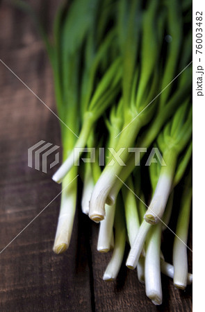 緑色 緑 グリーン 76003482