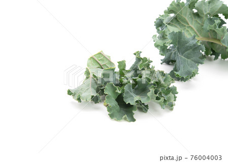 Fresh kale isolated on white background with copy space. Healthy food concept 76004003