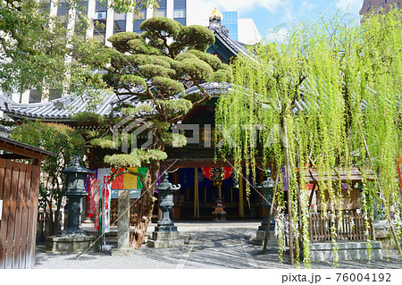京都 紫雲山頂法寺 六角堂と六角柳 76004192