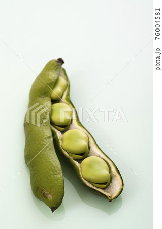 さやの中のそら豆の様子 76004581