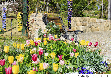 明石海峡公園 チューリップと春の花々 明石海峡公園 チューリップと春の花々 76004881