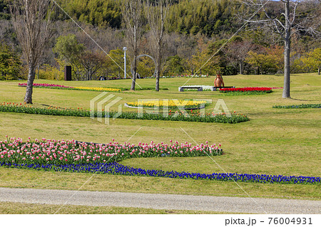 明石海峡公園 チューリップと春の花々 明石海峡公園 チューリップと春の花々 76004931
