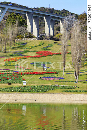 明石海峡公園　チューリップと春の花々 76004942