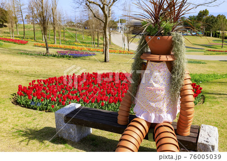 明石海峡公園　チューリップと春の花々 76005039