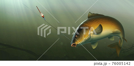 Fishing for carp with a float bait. Carp fishのイラスト素材 [76005142] - PIXTA