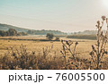 Rural landscape field in rustic style on yellow background. Natural scenery. Countryside sunny morning environment. Summer nature view. Local travel in country. 76005500