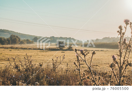 Rural landscape field in rustic style on yellow background. Natural scenery. Countryside sunny morning environment. Summer nature view. Local travel in country. 76005500