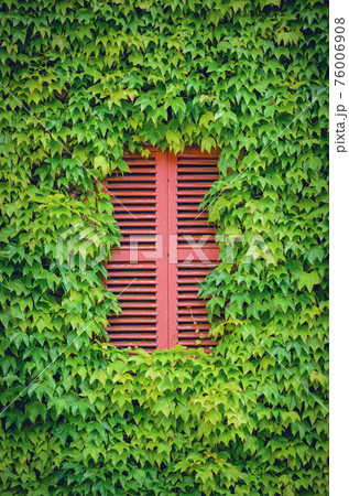 wall with red window coveder by ivy 76006908