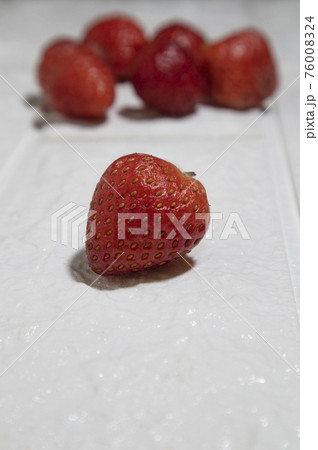 イチゴ いちご 苺 76008324
