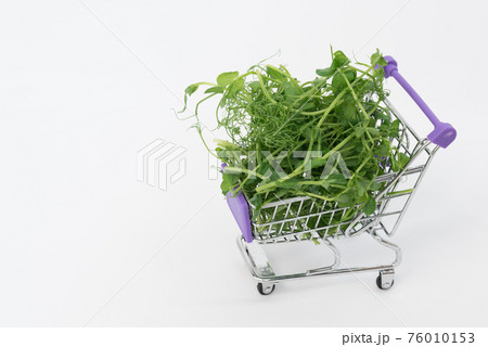 There are microgreens in the shopping cart. Young sprouts of peas lie in a heap in a shopping basket. Microgreens purchase concept. Price, demand for greens. There is space for text. 76010153