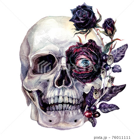 Watercolor Skull And Flowers Halloween Stock Illustration