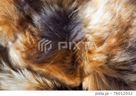 Fur texture 76012032