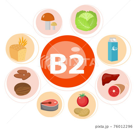 Vitamins and Minerals foods Illustrator set 7.Vector set of vitamin rich foods. Vitamin B2-milk, egg, spinach, oysters, cheese, liver, mushrooms and broccoli. Vitamins and Minerals foods Illustrator set 7.Vector set of vitamin rich foods. Vitamin B2-milk, egg, spinach, oysters, cheese, liver, mushrooms and broccoli. 76012296