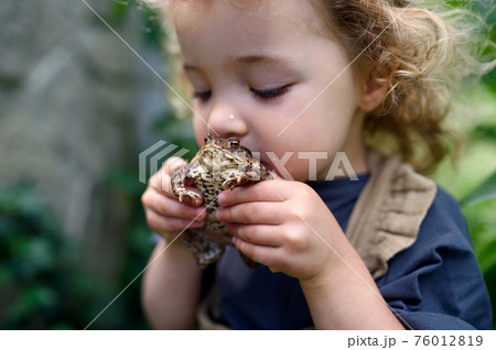 Close up portrait of small girl holding a frog outdoors in summer, kissing it. Close up portrait of small girl holding a frog outdoors in summer, kissing it. 76012819