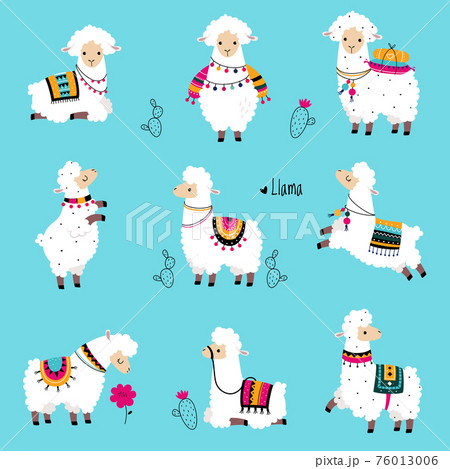 Cute Fluffy Llama or Alpaca Camelid Pack Animal Vector Set 76013006