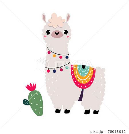 Pretty Wolly Llama Or Alpaca Wearing Knitted のイラスト素材