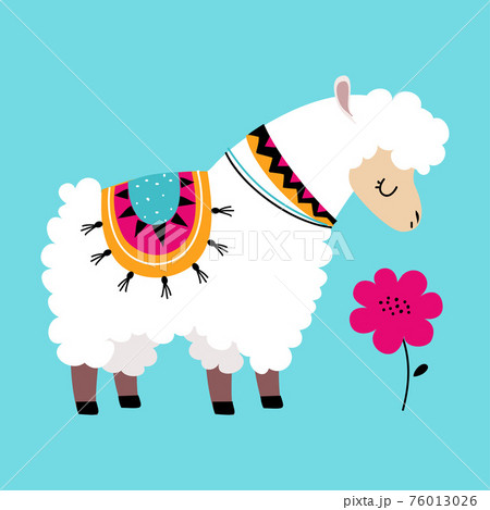 Cute Fluffy Llama or Alpaca as Camelid Pack Animal Smelling Flower Vector Illustration 76013026