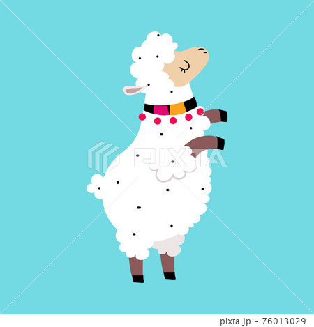 Cute Fluffy Llama or Alpaca as Camelid Pack Animal Vector Illustration Cute Fluffy Llama or Alpaca as Camelid Pack Animal Vector Illustration 76013029