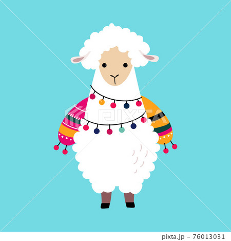 Cute Fluffy Llama or Alpaca as Camelid Pack Animal Vector Illustration 76013031