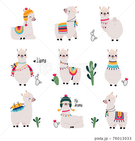 Cute Fluffy Llama or Alpaca Camelid Pack Animal Vector Set 76013033