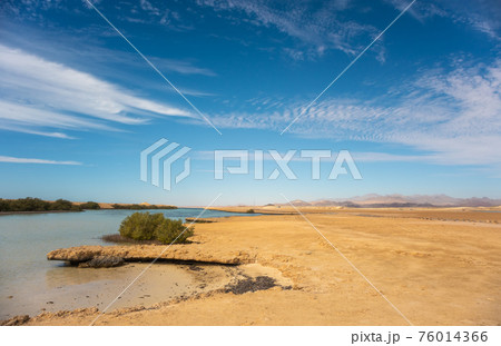Desert landscape of national park Ras Mohammed, Sinai, Egypt 76014366