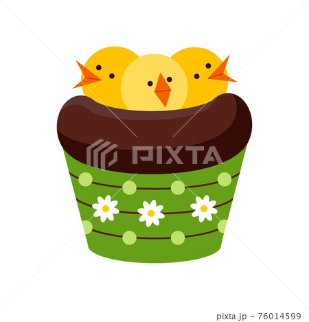 Easter chocolate cupcake with chicks in nest isolated on white background. 76014599