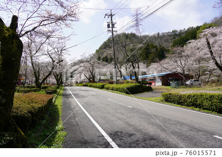 寺尾ケ原千本桜公園 76015571