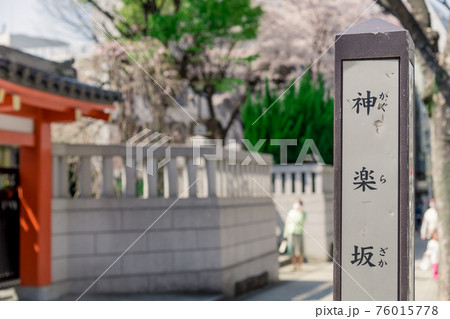 【神楽坂　毘沙門天 善國寺と桜】 76015778