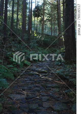 【神奈川】江戸時代の姿を留める旧東海道の石畳_箱根峠 【神奈川】江戸時代の姿を留める旧東海道の石畳_箱根峠 76016517