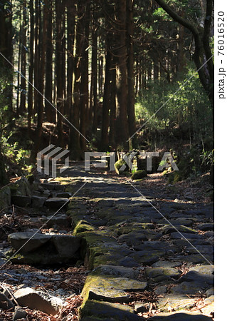 【神奈川】江戸時代の姿を留める旧東海道の石畳_箱根峠 76016520