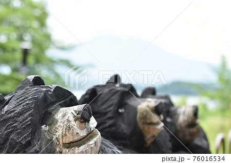 河口湖のカフェの庭園で撮影 76016534