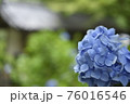 梅雨の鎌倉で撮影 梅雨の鎌倉で撮影 76016546