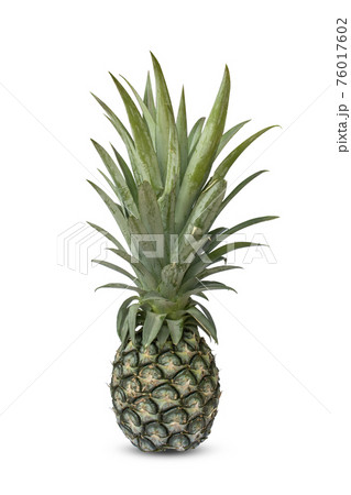Pineapple, isolated on a white background with the clipping path. 76017602