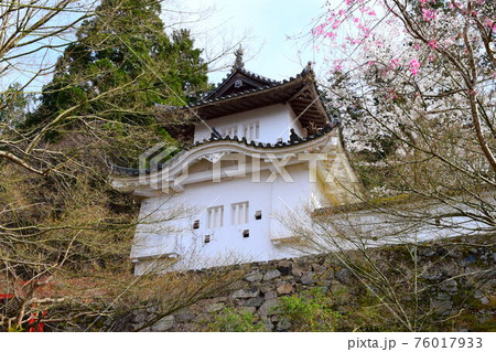 出石城【続日本100名城】 76017933