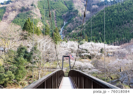 (東京都ー風景)杣の小橋から見る御岳苑地風景2 76018084