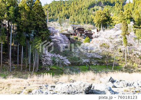 (東京都ー風景)御岳渓谷の風景1 76018123