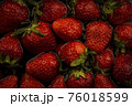 フルーツ 果物 イチゴ 76018599